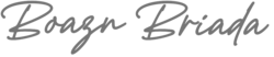 BoaznBriadaSchriftzug.png